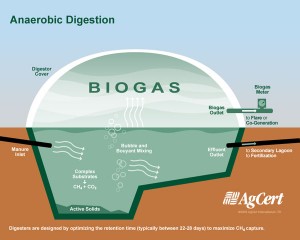 anaerobicdigestor