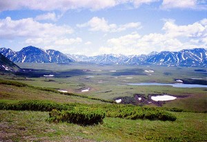 arctictundra