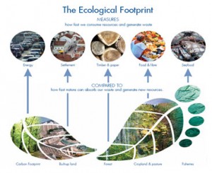 Ecological Footprint