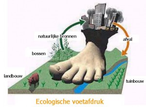 ecologischevoetafdruk