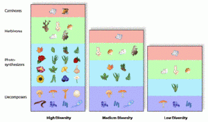 functionalgoups ecosystems