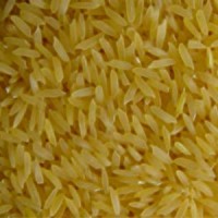 golden-rice2