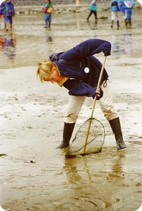 waddenzee