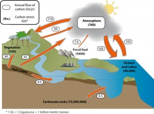carbon_cyclegeological