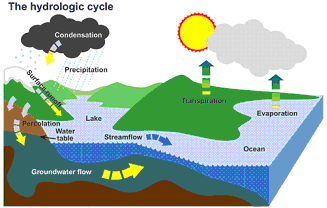 the water cycle