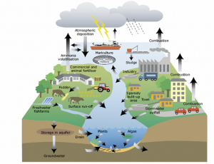 waterpollution_sources