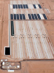 Algaefarm