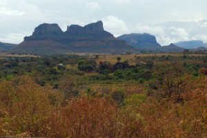 cerrado-landscape