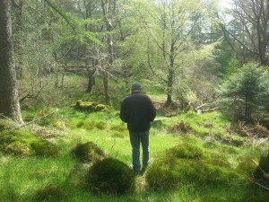 walking in nature2