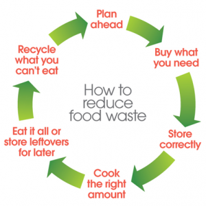 Food loop for consumers_0