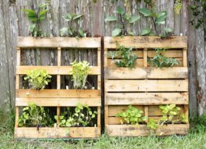 Pallet-gardens-537x388